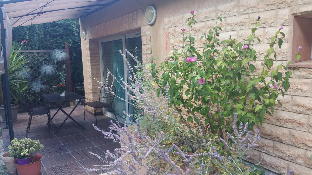 La Villa Des Violettes ตูลูส ภายนอก รูปภาพ