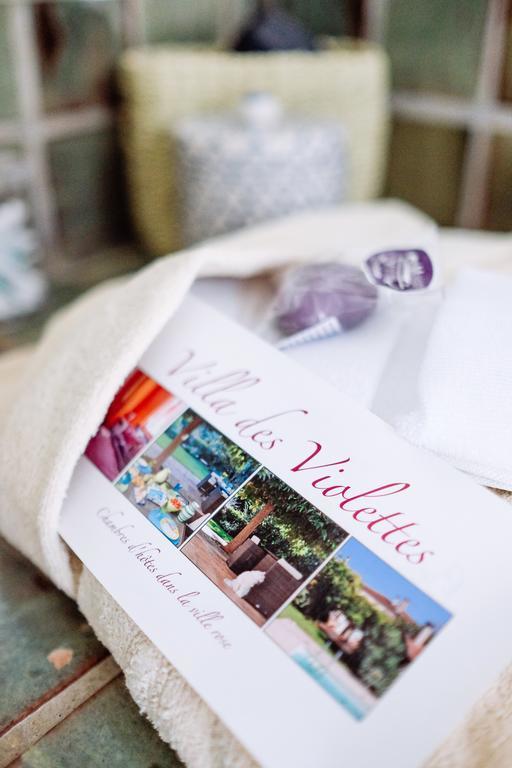 La Villa Des Violettes ตูลูส ภายนอก รูปภาพ
