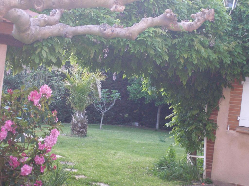 La Villa Des Violettes ตูลูส ห้อง รูปภาพ