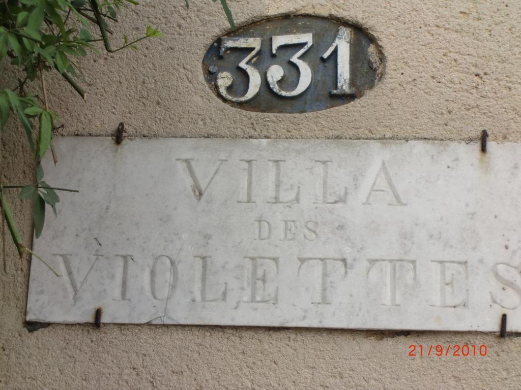 La Villa Des Violettes ตูลูส ภายนอก รูปภาพ